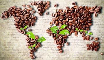 Кофе по регионам - где выращивают самые вкусные кофейные зерна