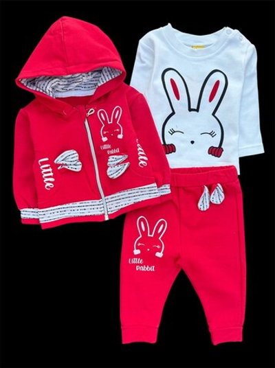 Костюм 3в1: кофта, штани, реглан "Little Rabbit", двунитка з начосом, бавовна ТМ "n-cey"