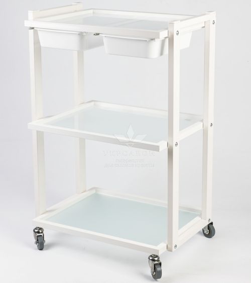 Косметологическая тележка S2-2l-w
