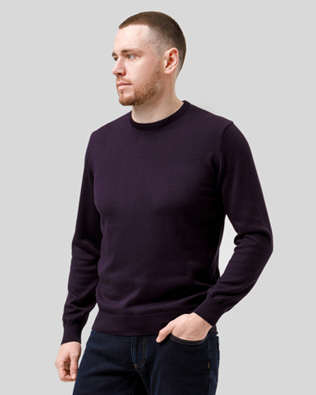 Джемпер чоловічий темно-фіолетовий (арт. 7662300202)