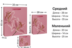 Набор подарочных пакетов 3 - штуки