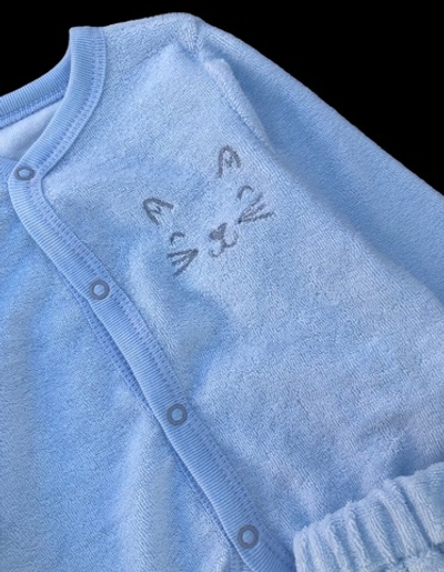 Костюм 2в1: кофта, штани "Котик", махра ТМ "Bebetto"