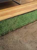 Сетка от кротов. Вольерная 1х50м. ячейка 12х14мм.