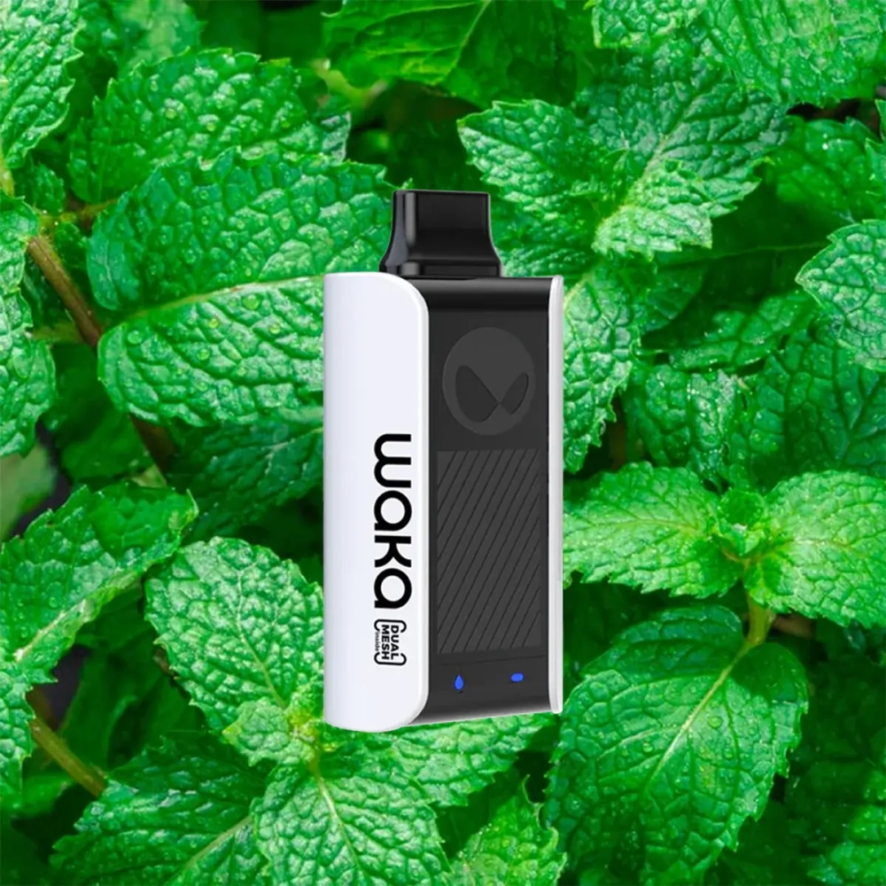 Waka so pro 10k- Fresh Mint (7-9%)
