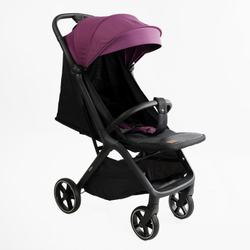 Прогулочная коляска Joy Willow
