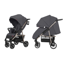 Прогулочная коляска Carrello Echo CRL-8508