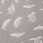 Покрывало двухстороннее Aurora Veil PAV001