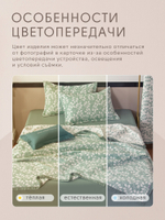 Покрывало двухстороннее Aurora Veil PAV006