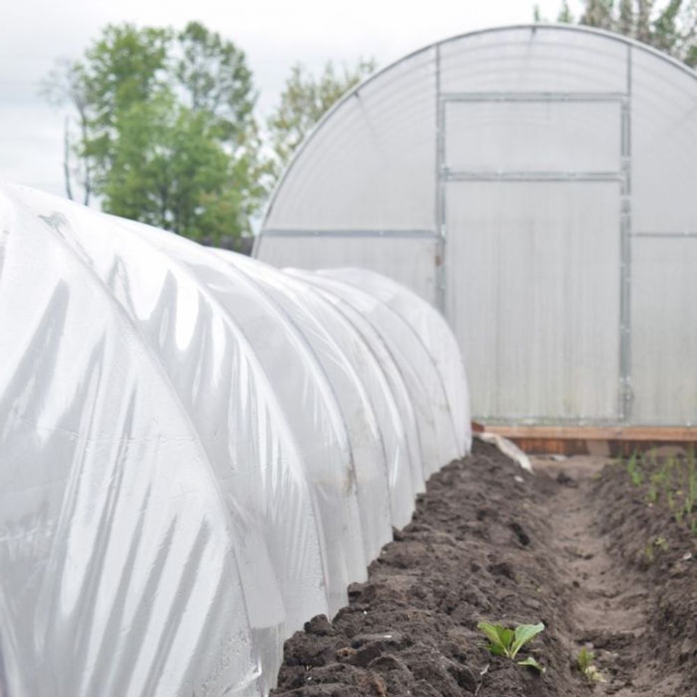 Пленка белая, 80мкм, 6м/50м. Прозрачная (парниковая, полиэтиленовая)