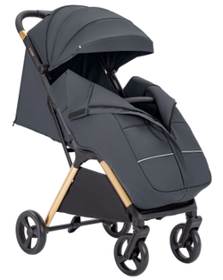 Прогулянкова коляска Carrello Cross CRL-5523